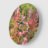 Grande Horloge Ronde Fleur de Bugle Lily (Watsonia), Cap Est (Angle)
