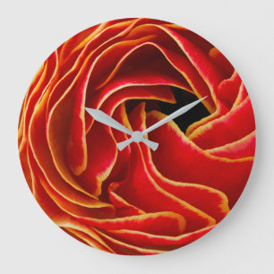 Grande Horloge Ronde Fleur de macro  Champs de fleurs Carlsbad, CA