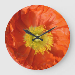 Grande Horloge Ronde Fleur de pavot orange orange clair