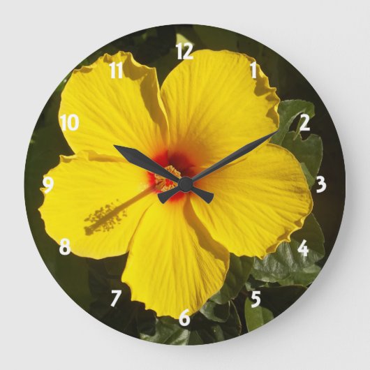 Grande Horloge Ronde Fleur d'Hibiscus jaune (Recto)