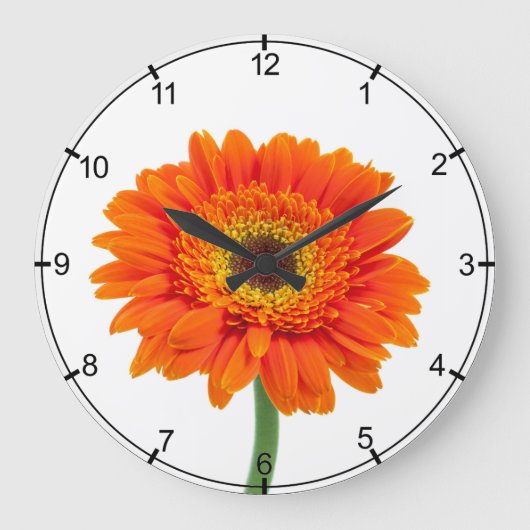 Grande Horloge Ronde Fleur orange de marguerite de Gerbera (Recto)