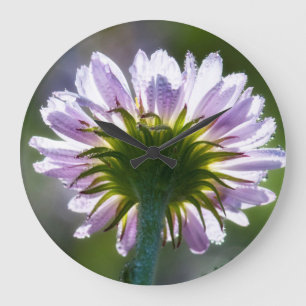 Grande Horloge Ronde Fleur sauvage violet rétroéclairé avec des gouttes