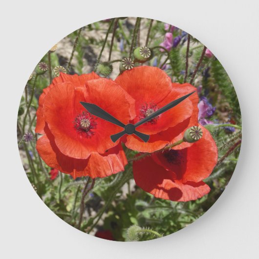 GRANDE HORLOGE RONDE FLEURS POPPY (Recto)