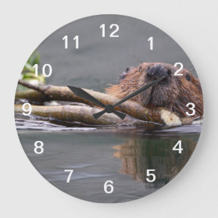 Grande Horloge Ronde Fonctionnement de castor