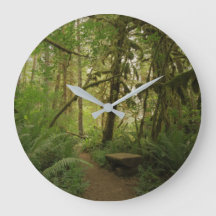 Forêt paisible dans le parc national des Cascades