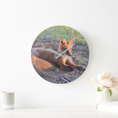 Grande Horloge Ronde Fox dans Sunlight (Maison)