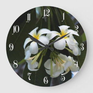 Grande Horloge Ronde Frangipani flowers