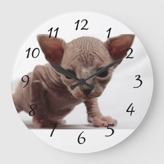 Grande Horloge Ronde Freaky Cute Furless (Recto)