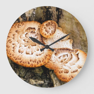 GRANDE HORLOGE RONDE FUNGI