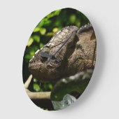 Grande Horloge Ronde Furcifer oustaleti (Angle)