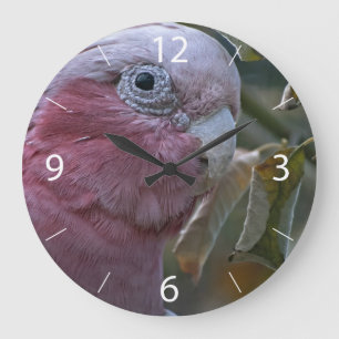 Grande Horloge Ronde Galah