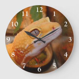 Grande Horloge Ronde Gecko de Leopard