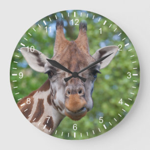 Grande Horloge Ronde Giraffe attentive