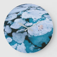 Glace et neige | Ours polaire, Océan Arctique, Sva