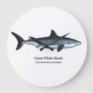 Grande Horloge Ronde Grand requin blanc