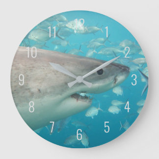 Grande Horloge Ronde Grand requin blanc près sous l'eau Australie La