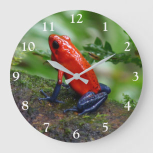 Grande Horloge Ronde Grenouille rouge et bleu poison