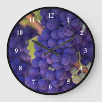 Gros pépin de raisins pourpres juteux