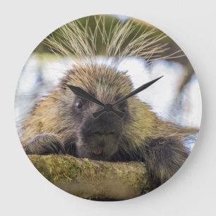 Grande Horloge Ronde Gros plan sur un porc-épic dans un arbre