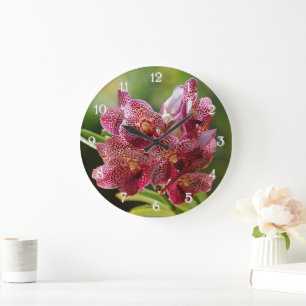 Grande Horloge Ronde Groupe Tropical Vanda Orchid