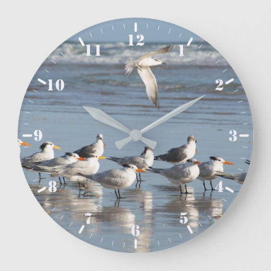 Grande Horloge Ronde Gulls (Recto)