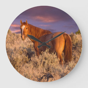 Grande Horloge Ronde Harney County Wild horse tient alerte