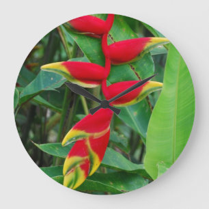Grande Horloge Ronde Heliconia