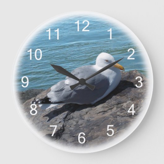 Grande Horloge Ronde Herring Gull (Recto)