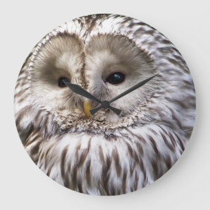 Grande Horloge Ronde Hiboux