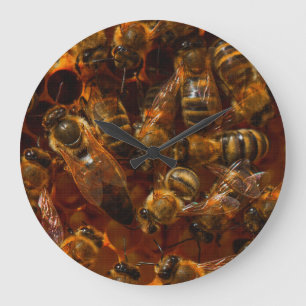 GRANDE HORLOGE RONDE HONEYABES 7 BOUCLE DE CEINTE