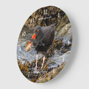 Grande Horloge Ronde Huîtrier de l'Amérique oiseau de rivage pêchant à