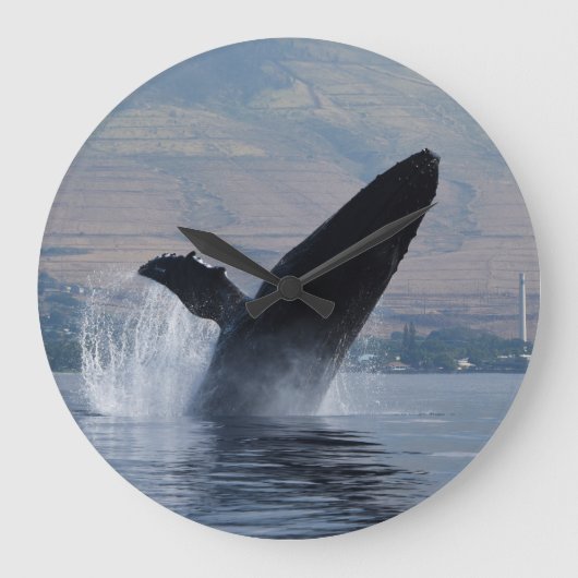 Grande Horloge Ronde humpback break breaching (Recto)