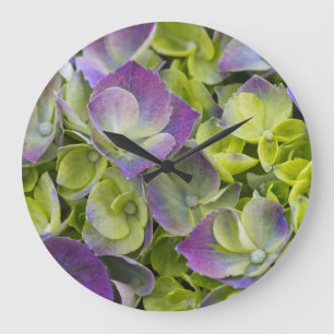 Grande Horloge Ronde Hydrangea du jardin de Keukenhof