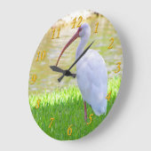 Grande Horloge Ronde Ibis Sur Une Jambe Photo (Angle)