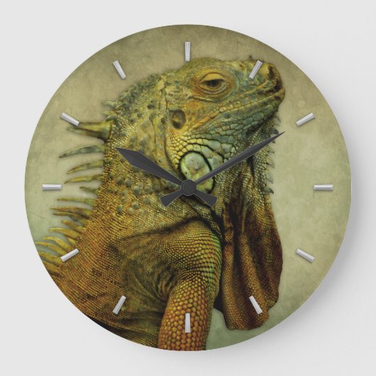 Grande Horloge Ronde Iguana verte (Recto)