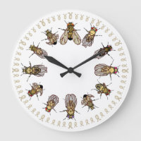 Il est temps de trier Drosophila !