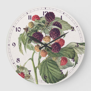 Grande Horloge Ronde Illustration vintage de framboise pourpre