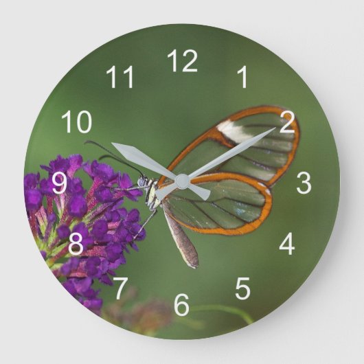 Grande Horloge Ronde Ils m'appellent "l'aile claire" (Recto)