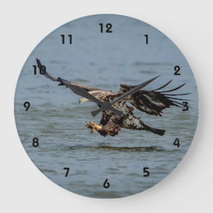 Grande Horloge Ronde Immature Bald Eagle plongée pour un poisson