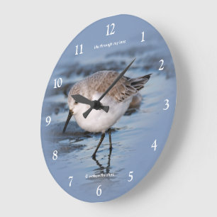 Grande Horloge Ronde Joli Bécasseau Sanderling Errant sur une Plage Hiv