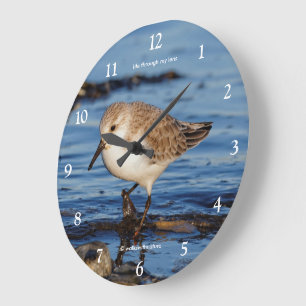 Grande Horloge Ronde Joli Bécasseau Sanderling Oiseau de Rivage Bécassi