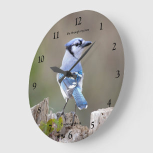 Grande Horloge Ronde Joli geai bleu chanteur posant sur une souche d'ar
