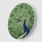 Grande Horloge Ronde Joli Peacock (Angle)