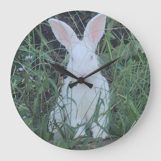 Grande Horloge Ronde Joyeux Lapin (Recto)