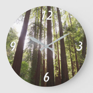 Grande Horloge Ronde Jusqu'aux séquoias le matin