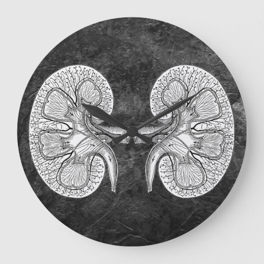 GRANDE HORLOGE RONDE KIDNEY 2 (Recto)