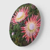 Grande Horloge Ronde King Protea, Helderberg (Angle)