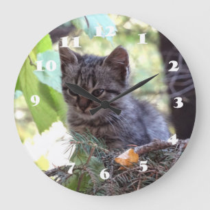 Grande Horloge Ronde Kitten Photo Baby Cat Wall Clock