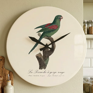 Grande Horloge Ronde La Perruche à gorge rouge 