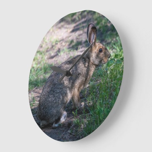 Grande Horloge Ronde Lapin Brown, Repos dans la nature (Angle)